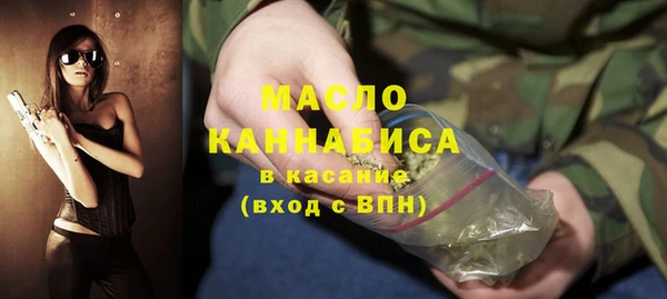 спиды Вяземский