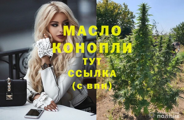 спиды Вяземский