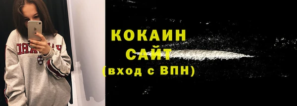 спиды Вяземский