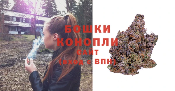 спиды Вяземский