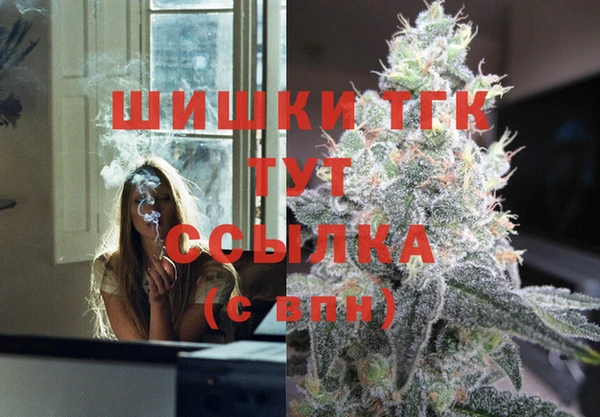 спиды Вяземский